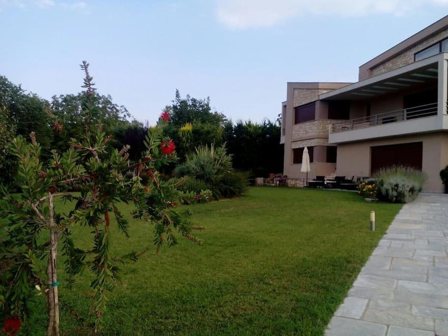 Luxury Villa Kassandrino Kassandrinón المظهر الخارجي الصورة